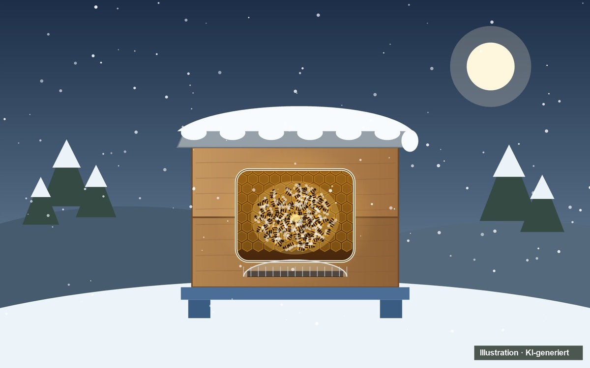Illustration: winterfeste Bienenbeute im Schnee, innen wärmen sich die Bienen in der Wintertraube (KI-generiert)