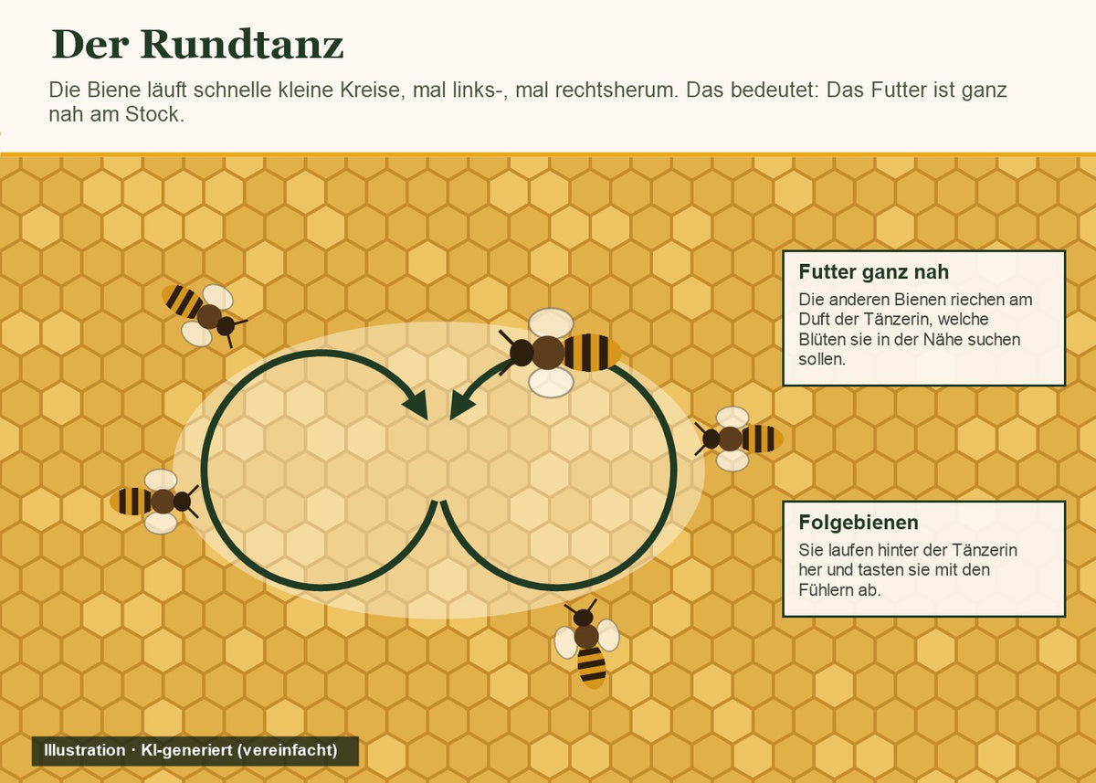 Illustration (KI-generiert): Rundtanz einer Biene auf der Wabe, kleine Kreise mal links-, mal rechtsherum