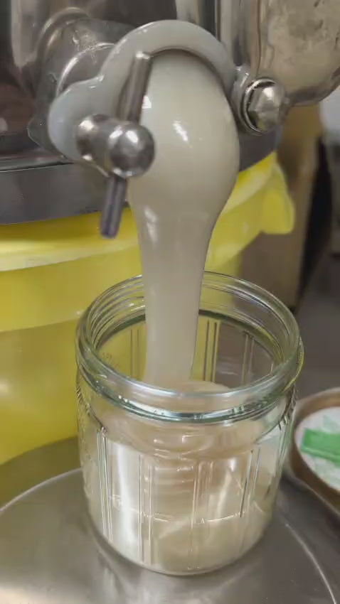 Cremiger Sommertrachthonig wird ins Glas abgefüllt